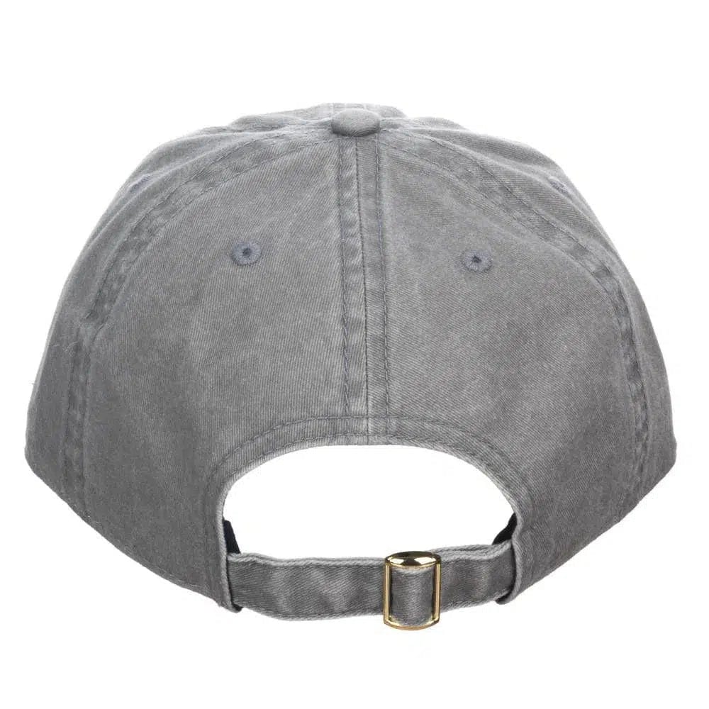Avatar: The Last Airbender - Aang Air Scooter Hat (Gray, Embroidered) - Bioworld - Image 4