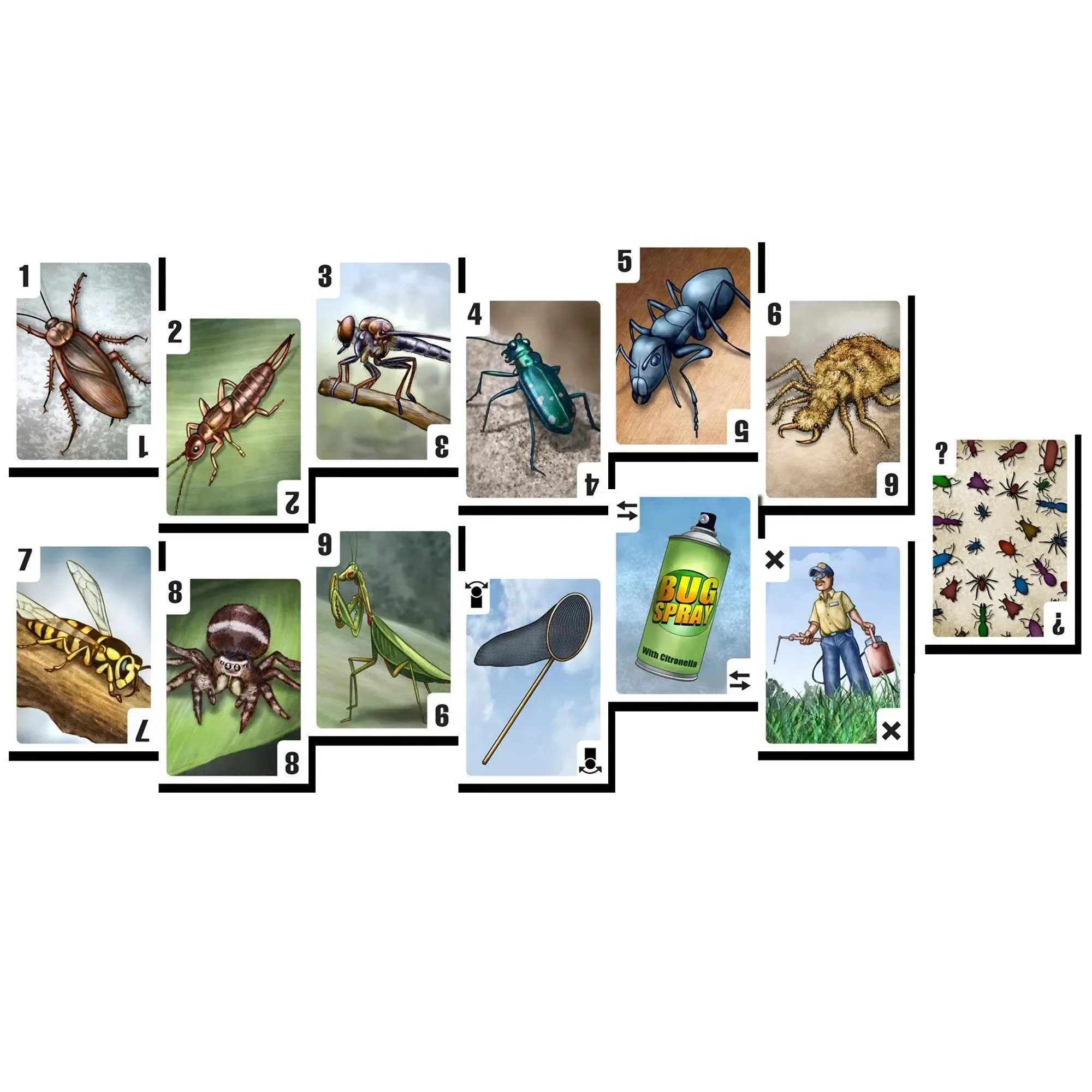 Bugs - Competitive Nature Card Game for Family, Adults, and Children (3-6 Players, Ages 10+) - Valley Games - Image 2