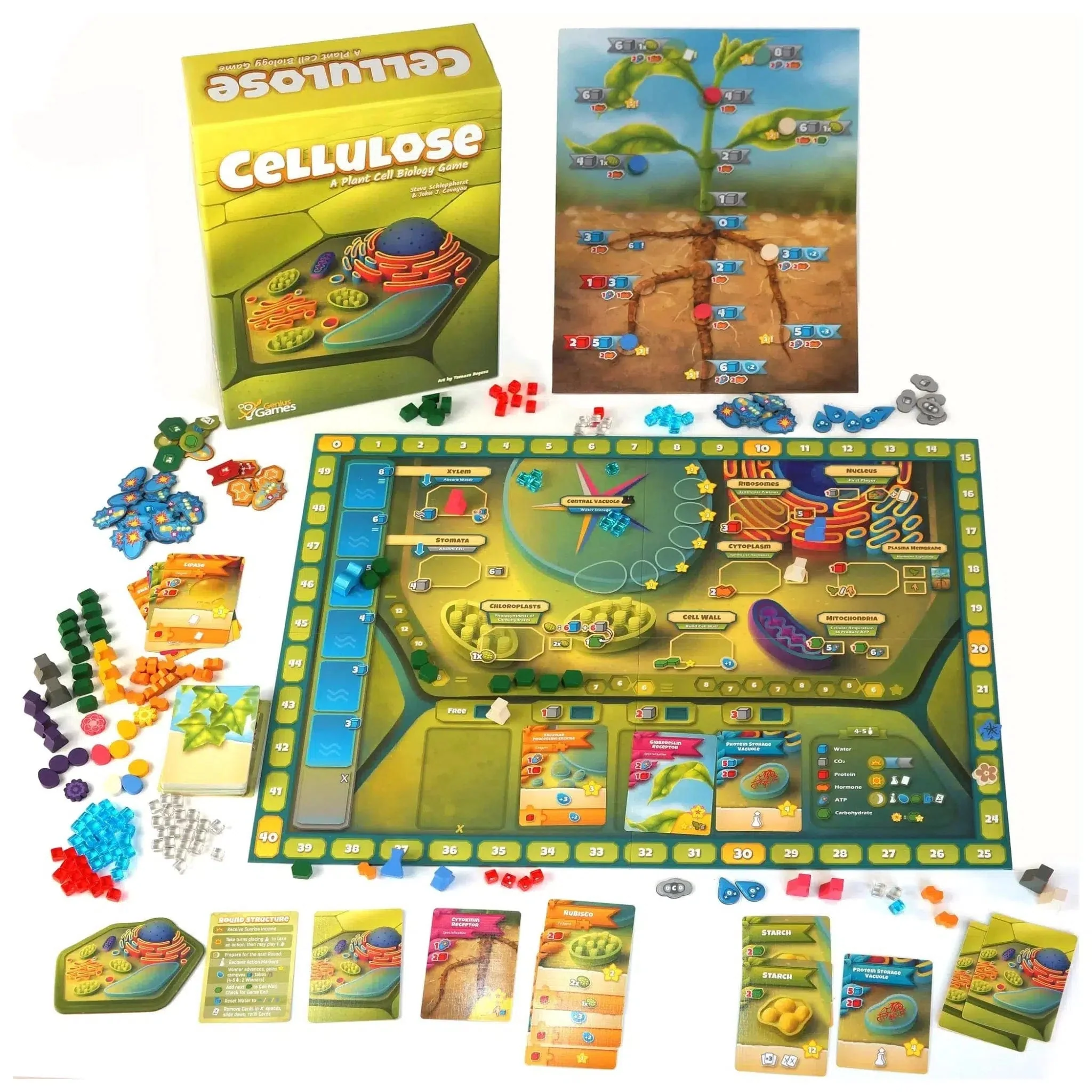 Cellulose: A Plant Cell Biology Game - Board Game - Genius Games - Image 2