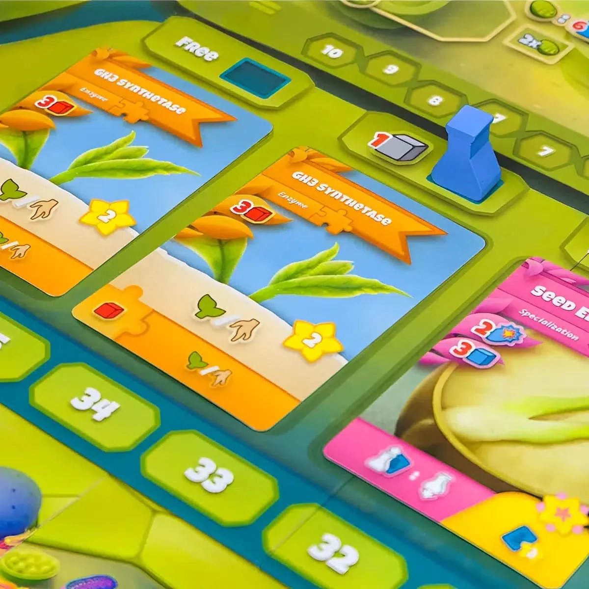 Cellulose: A Plant Cell Biology Game - Board Game - Genius Games - Image 5