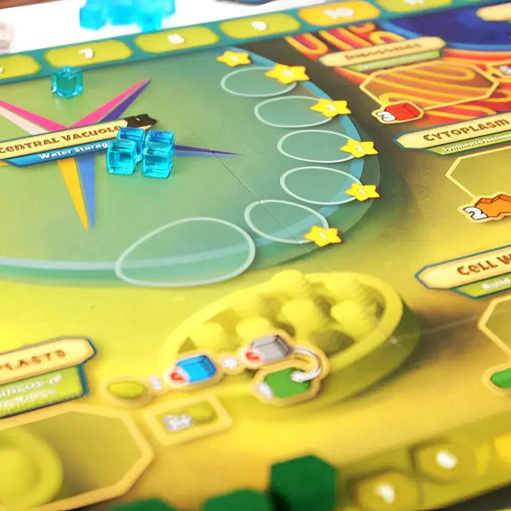 Cellulose: A Plant Cell Biology Game - Board Game - Genius Games - Image 6