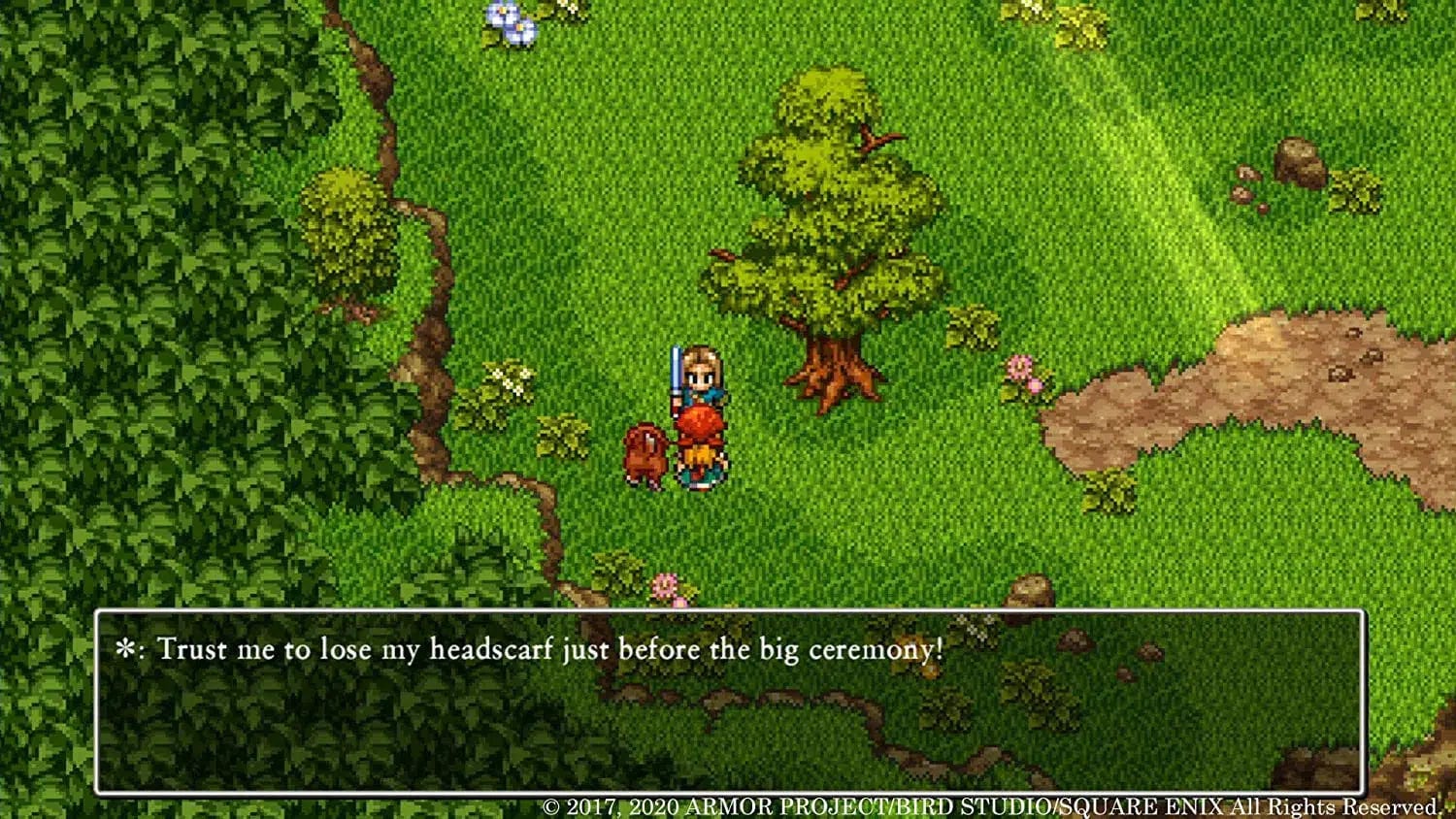 Dragon Quest XI S: Echoes of an Elusive Age (Definitive Edition) - Nintendo Switch - Image 5