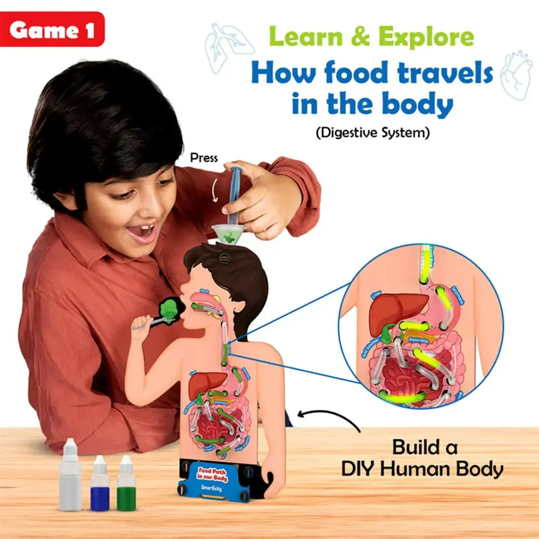 Food Body & Nutrition - Human Body STEM Toy Game Building Set - Smartivity - Image 3