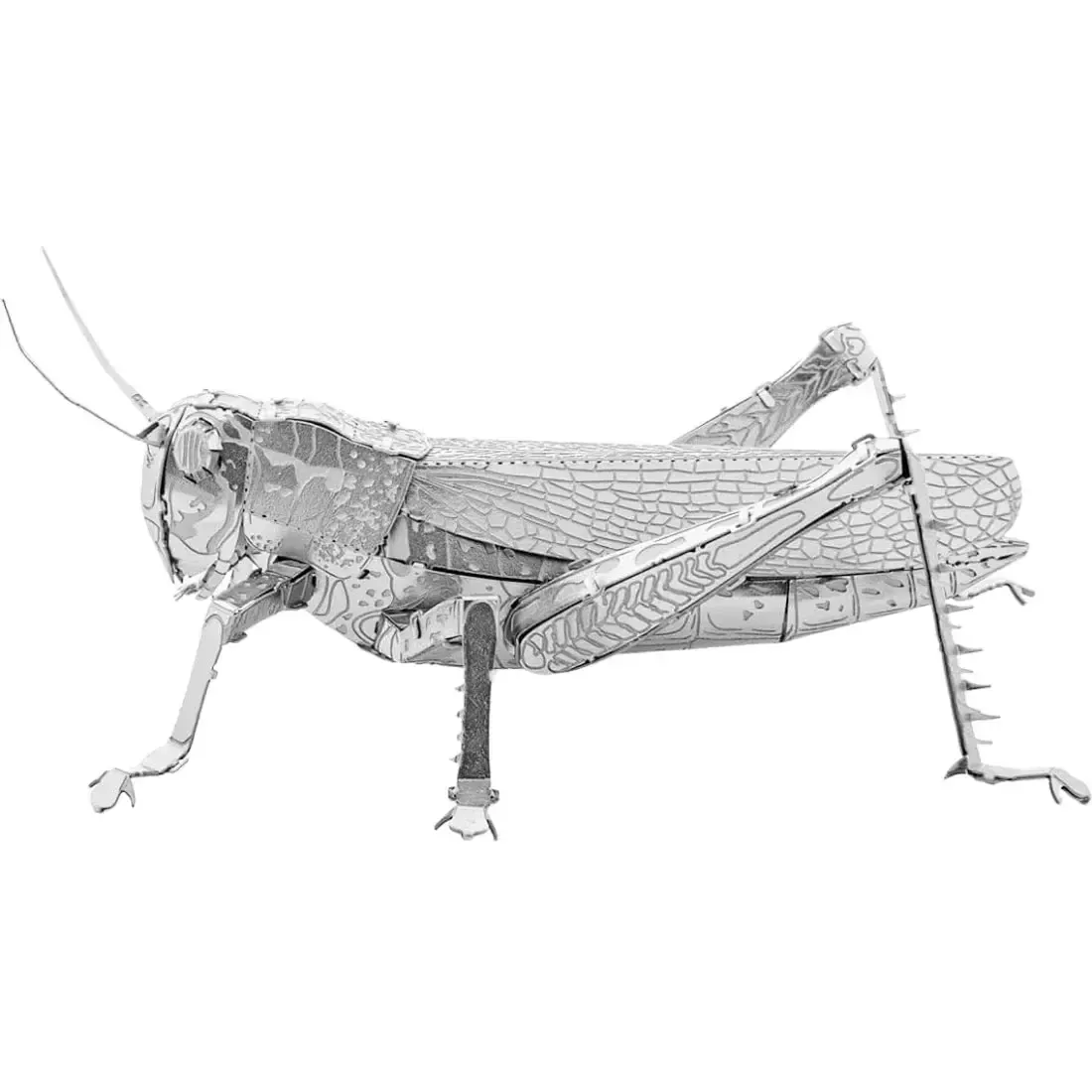Grasshoppers Figure Model Kit (Steel, Moderate Difficulty) - Fascinations - Metal Earth Series - Image 2