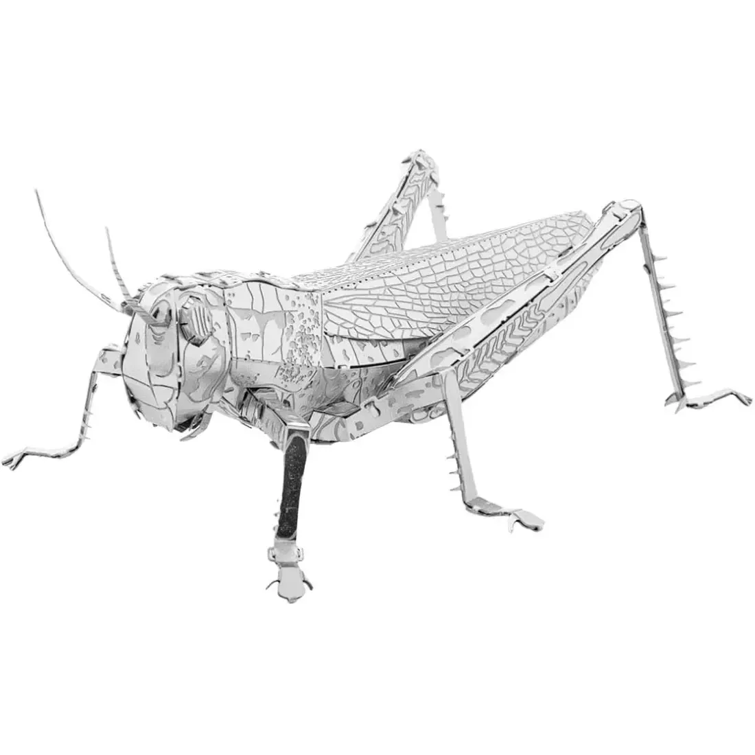 Grasshoppers Figure Model Kit (Steel, Moderate Difficulty) - Fascinations - Metal Earth Series - Image 4