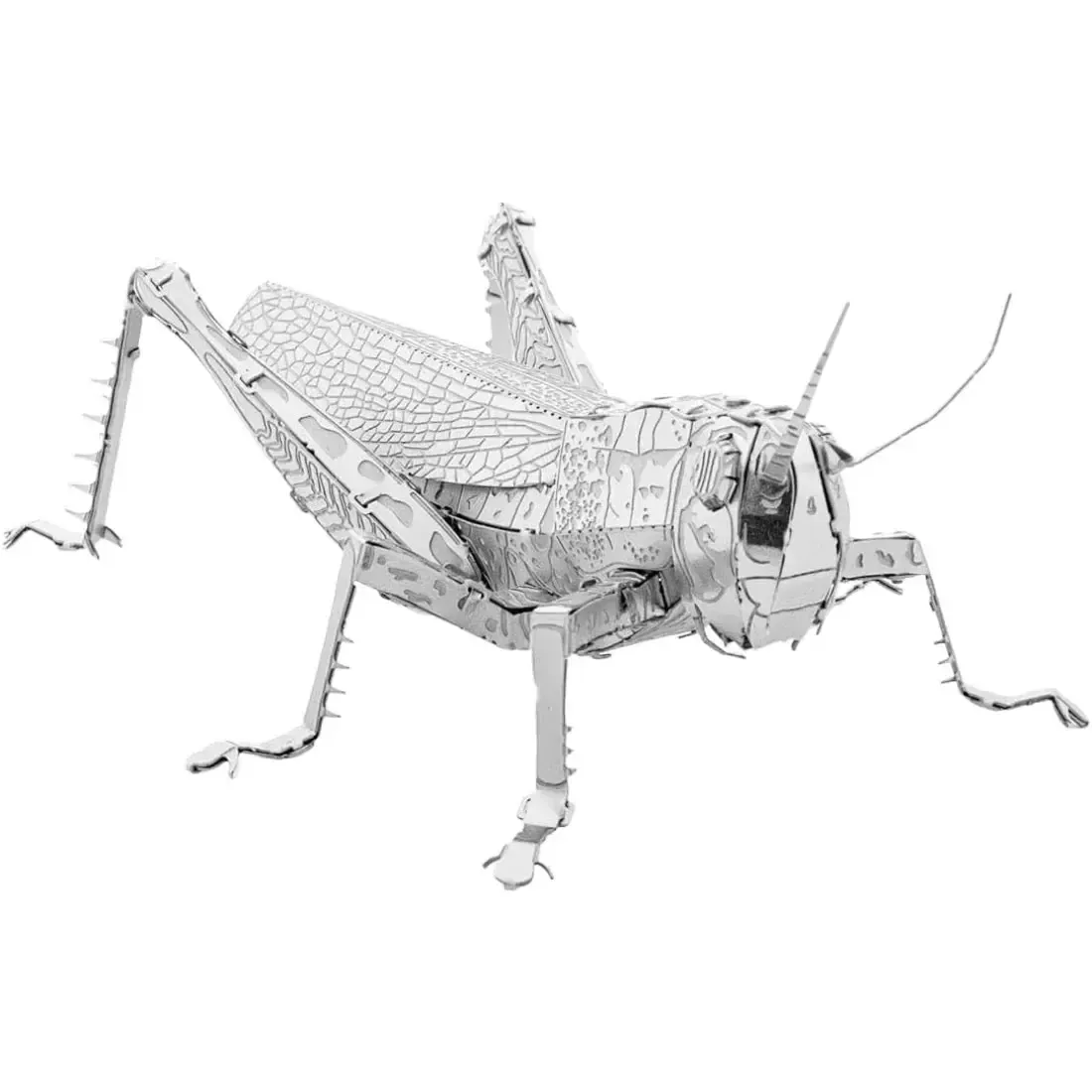 Grasshoppers Figure Model Kit (Steel, Moderate Difficulty) - Fascinations - Metal Earth Series - Image 7