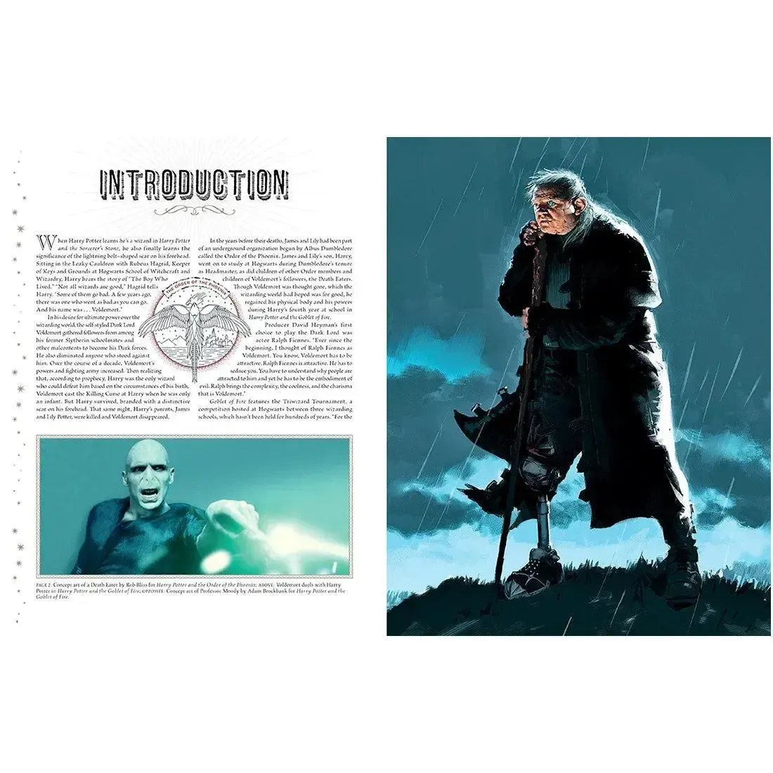 Harry Potter: Film Vault - The Complete Book Series Boxed Set (Special Edition) - Insight Editions - Image 6