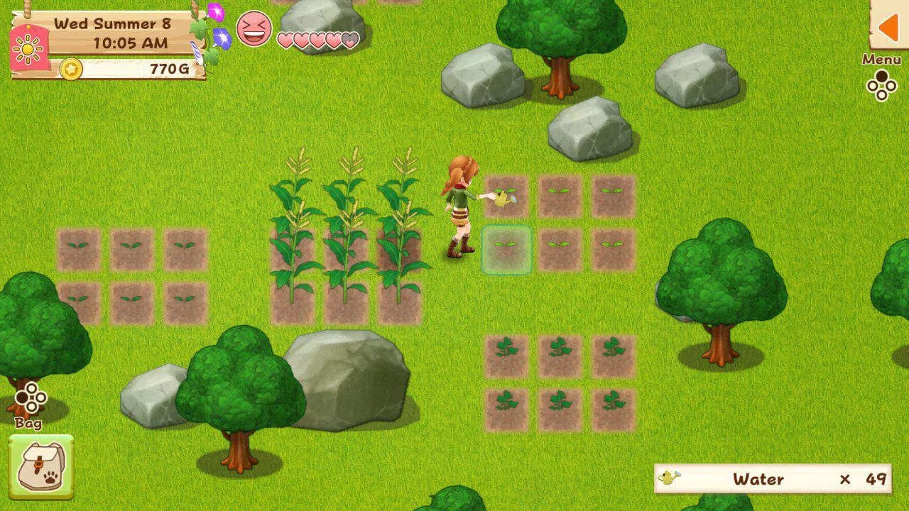 Harvest Moon: Light of Hope (Special Edition) - Nintendo Switch - Image 2