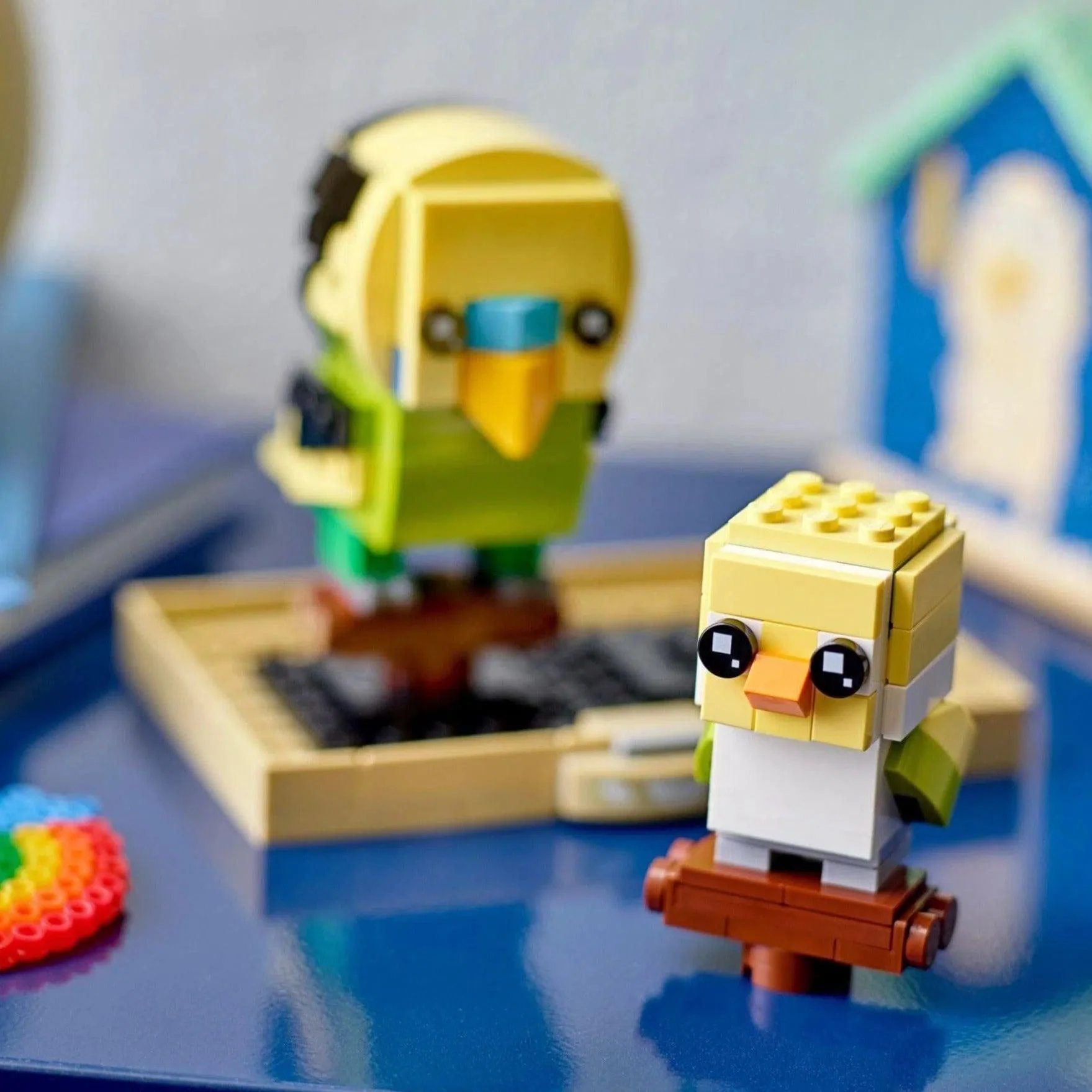 LEGO [BrickHeadz] - Budgies Building Set - Pets Series (40443) - Image 3