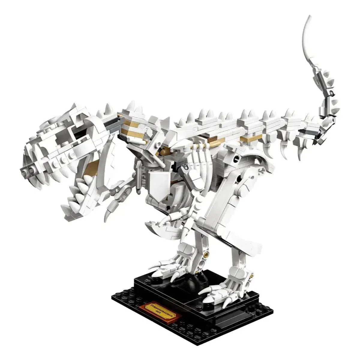 LEGO [Ideas] - Dinosaur Fossils (21320) - Image 10
