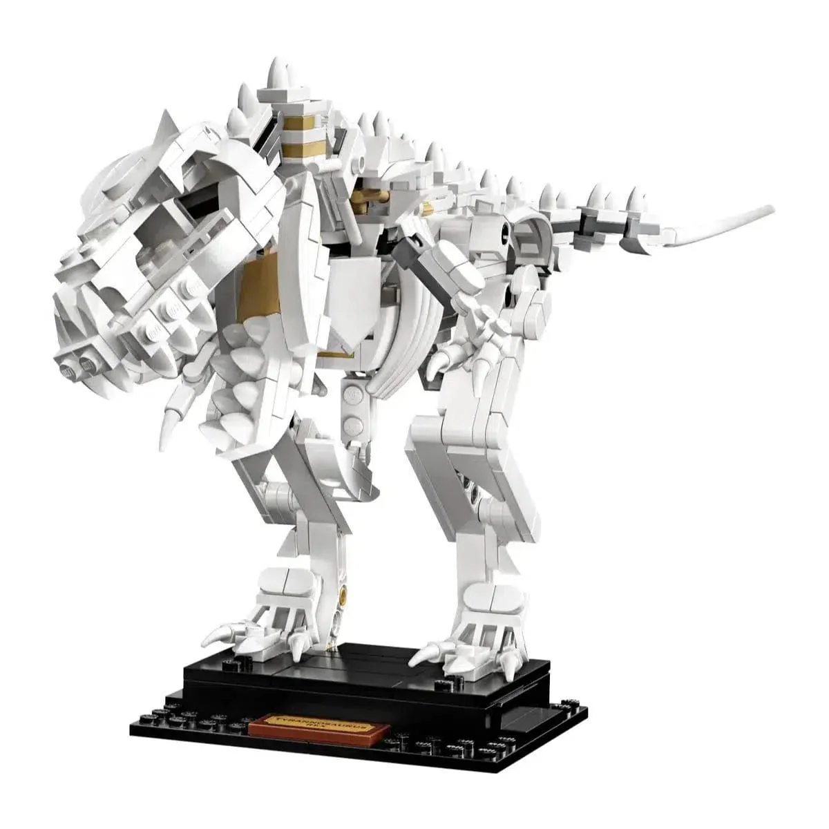 LEGO [Ideas] - Dinosaur Fossils (21320) - Image 11