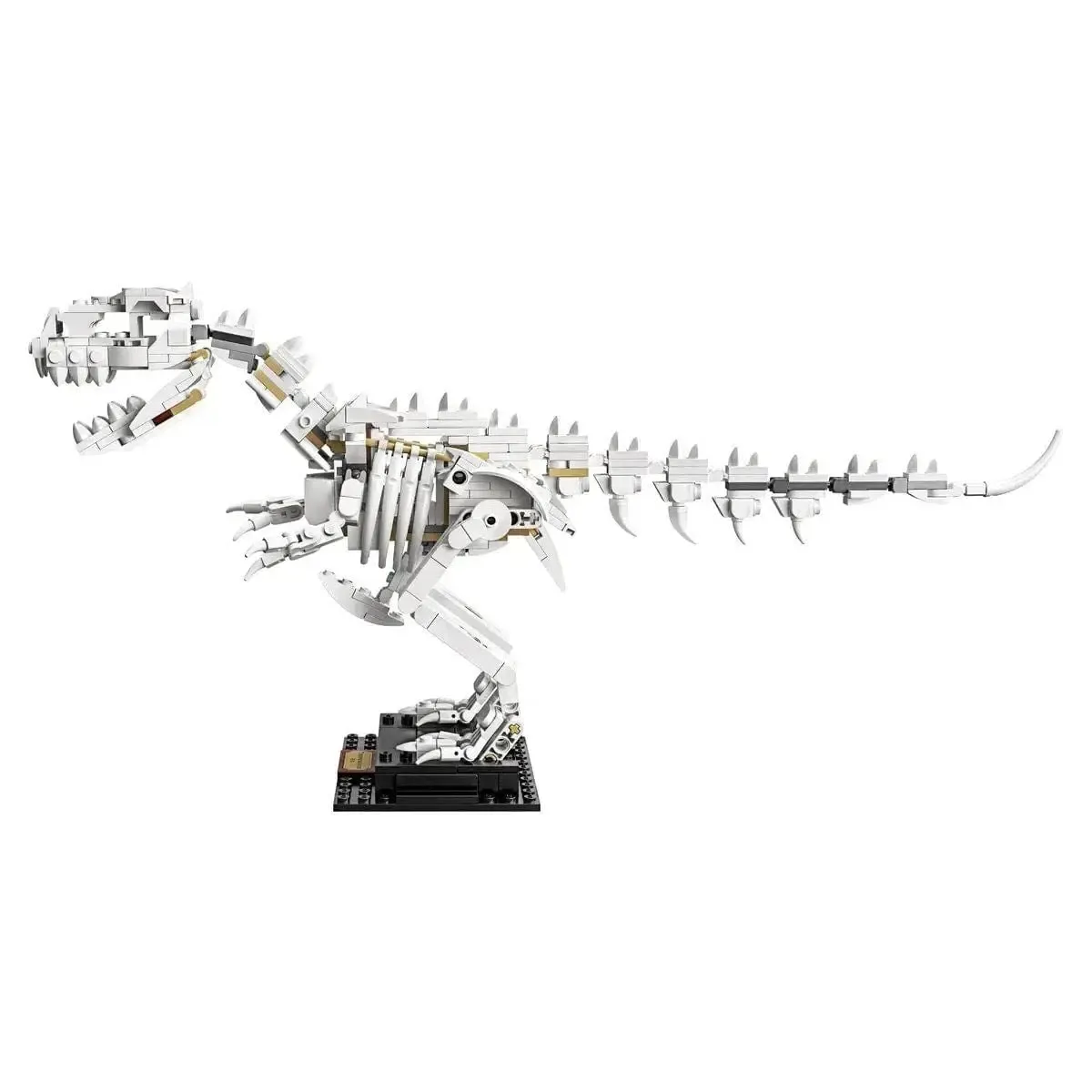 LEGO [Ideas] - Dinosaur Fossils (21320) - Image 12