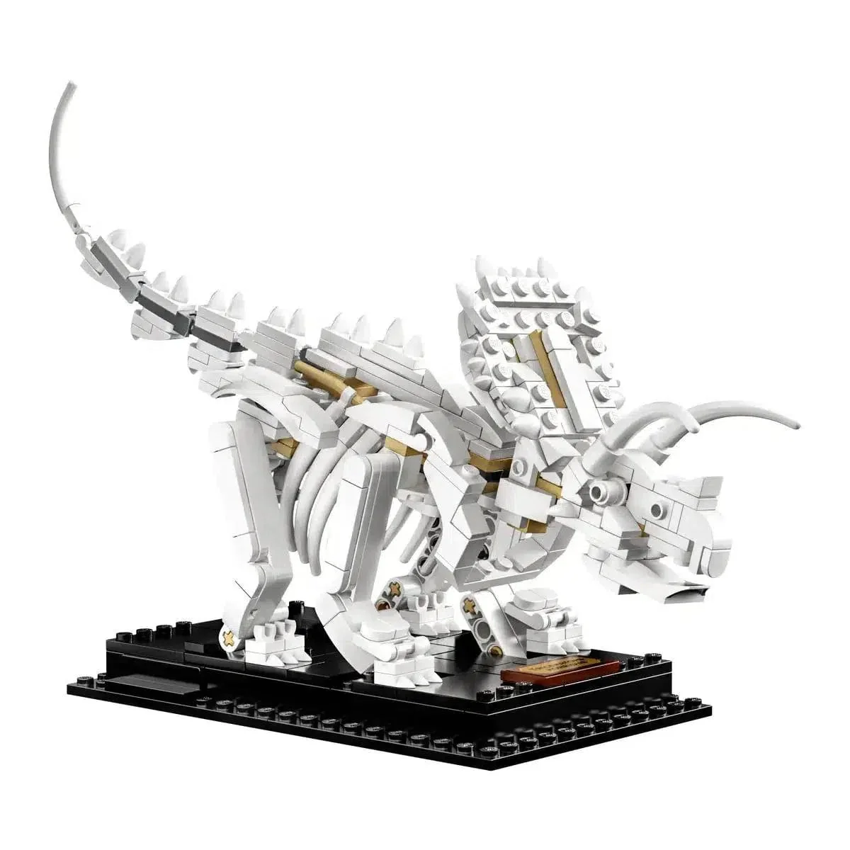 LEGO [Ideas] - Dinosaur Fossils (21320) - Image 13