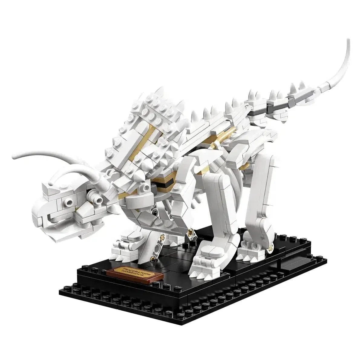 LEGO [Ideas] - Dinosaur Fossils (21320) - Image 14