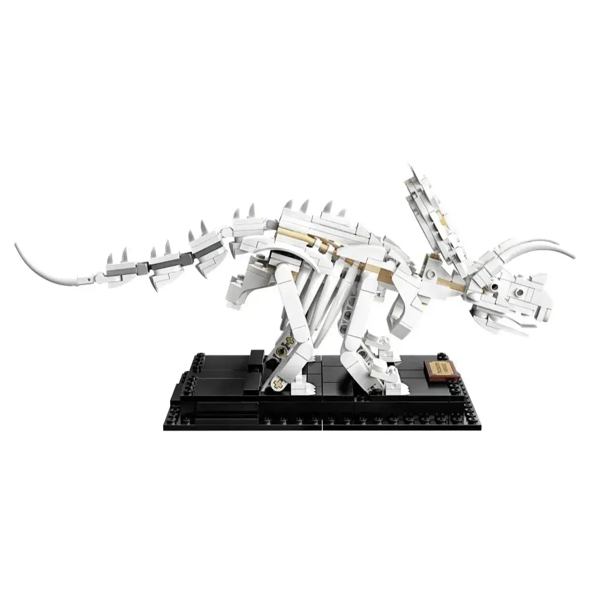 LEGO [Ideas] - Dinosaur Fossils (21320) - Image 15