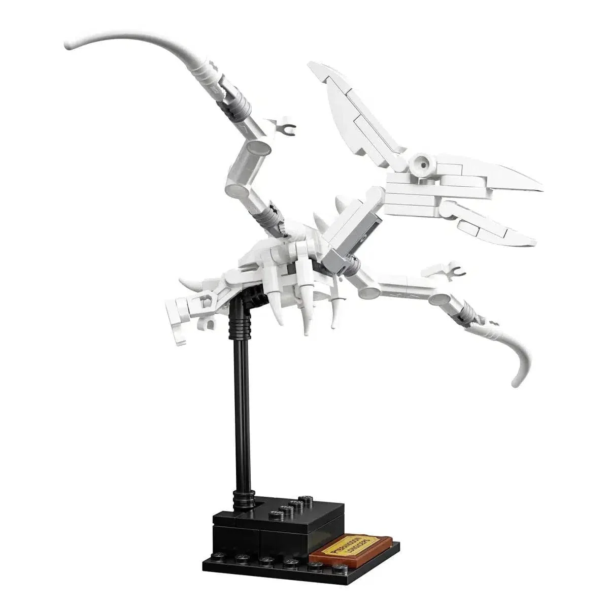 LEGO [Ideas] - Dinosaur Fossils (21320) - Image 16