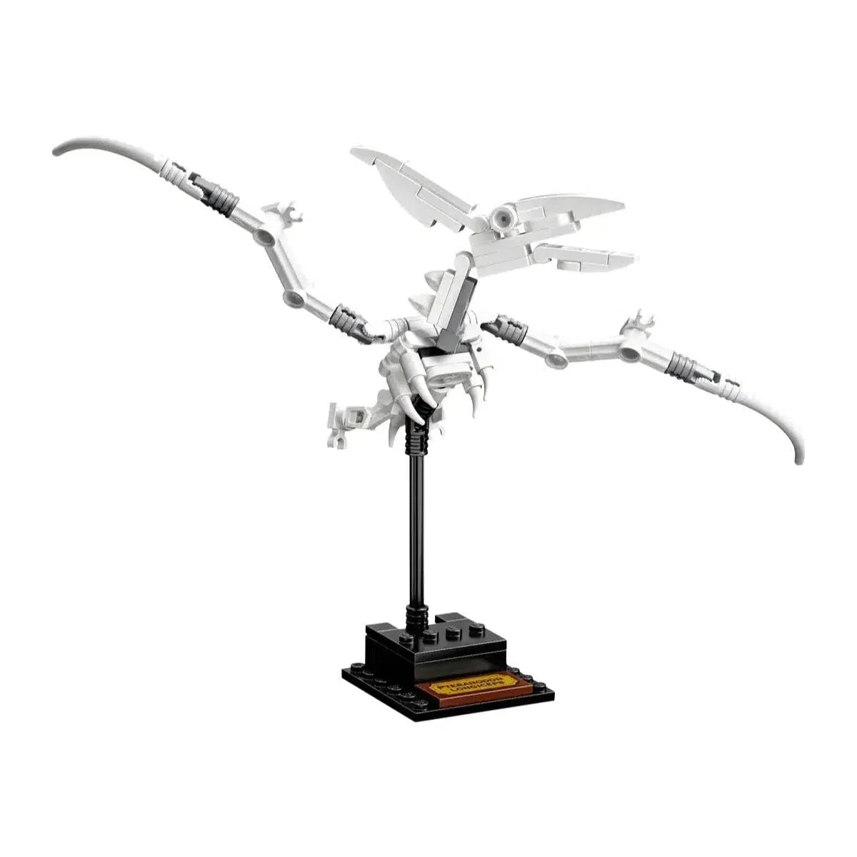LEGO [Ideas] - Dinosaur Fossils (21320) - Image 17