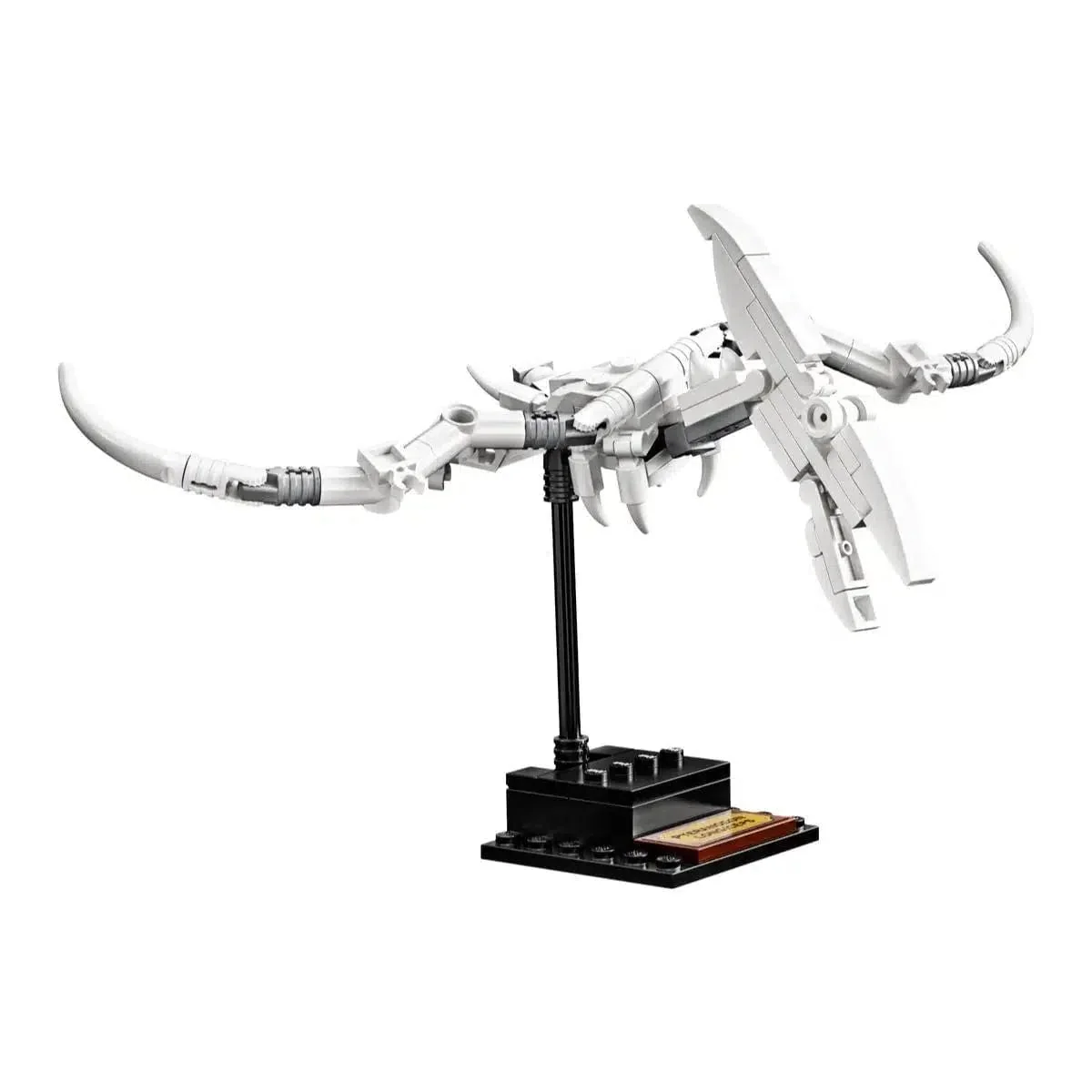 LEGO [Ideas] - Dinosaur Fossils (21320) - Image 18