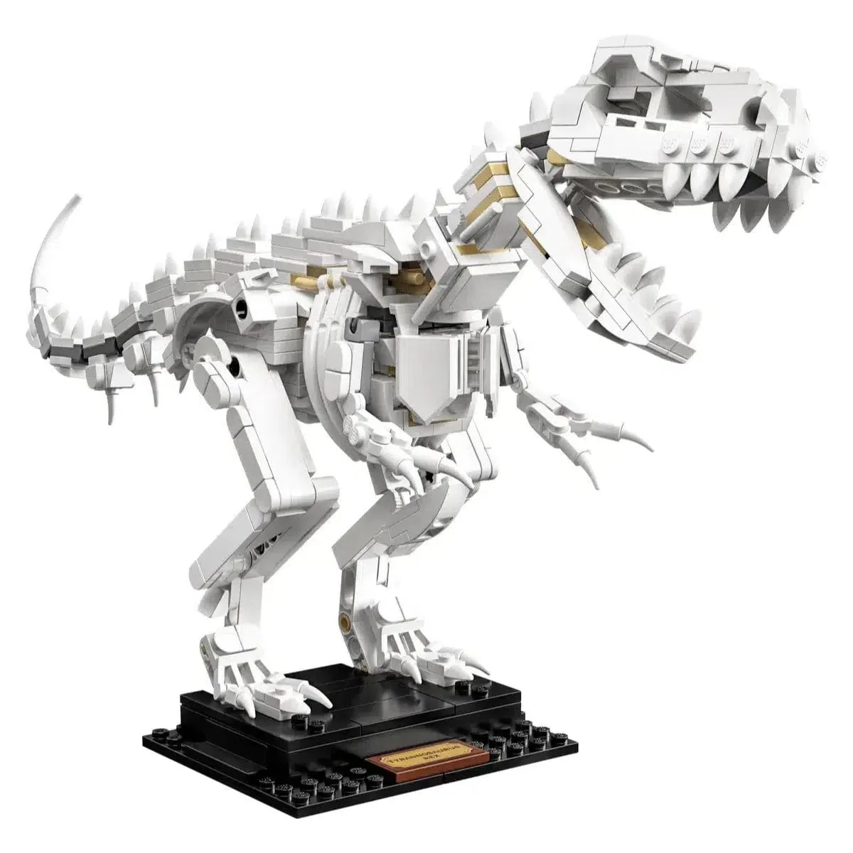 LEGO [Ideas] - Dinosaur Fossils (21320) - Image 4