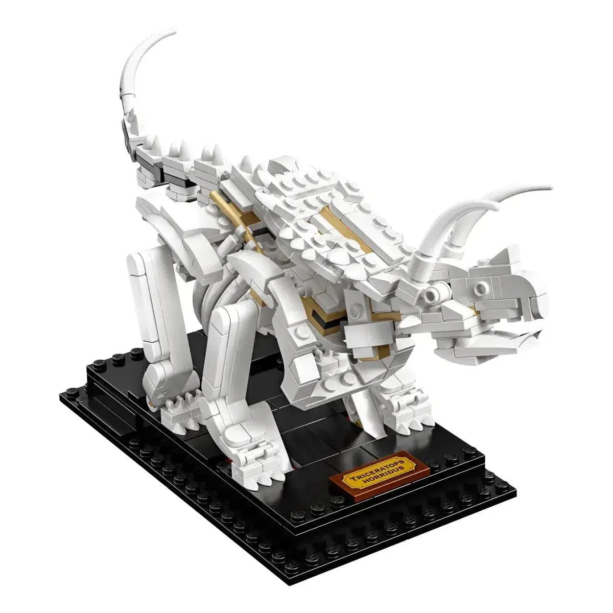 LEGO [Ideas] - Dinosaur Fossils (21320) - Image 5