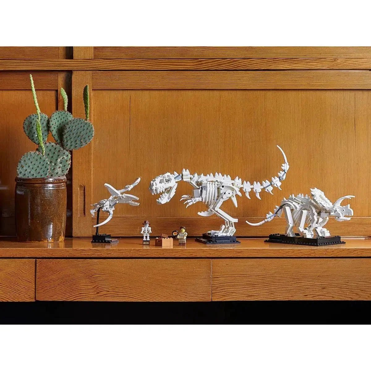 LEGO [Ideas] - Dinosaur Fossils (21320) - Image 9