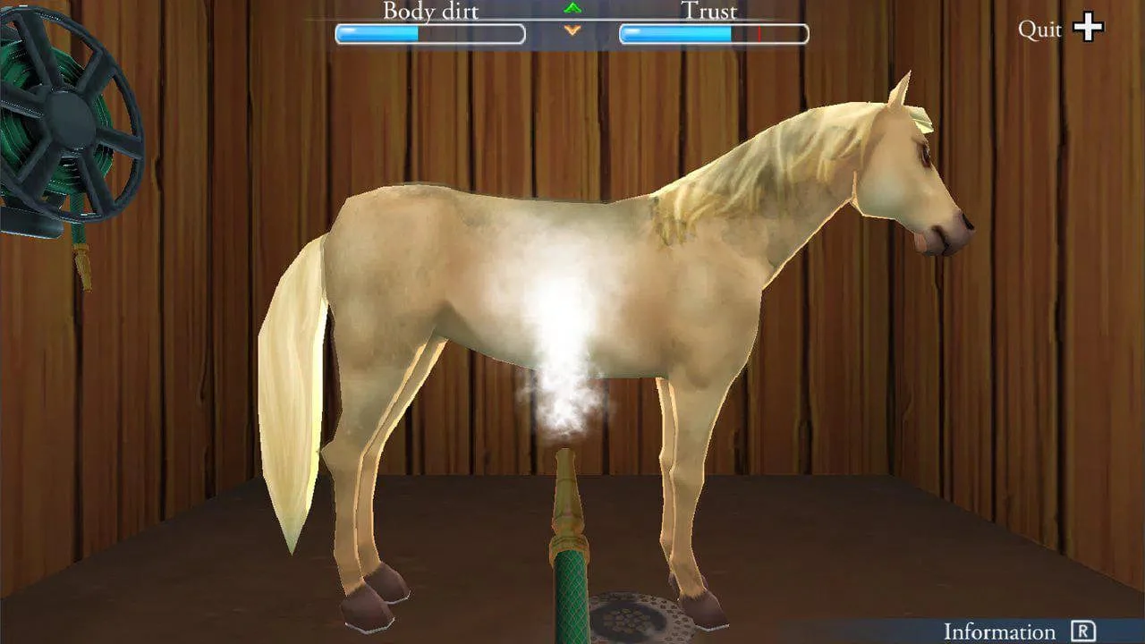 My Riding Stables: Life With Horses - Nintendo Switch - Image 4