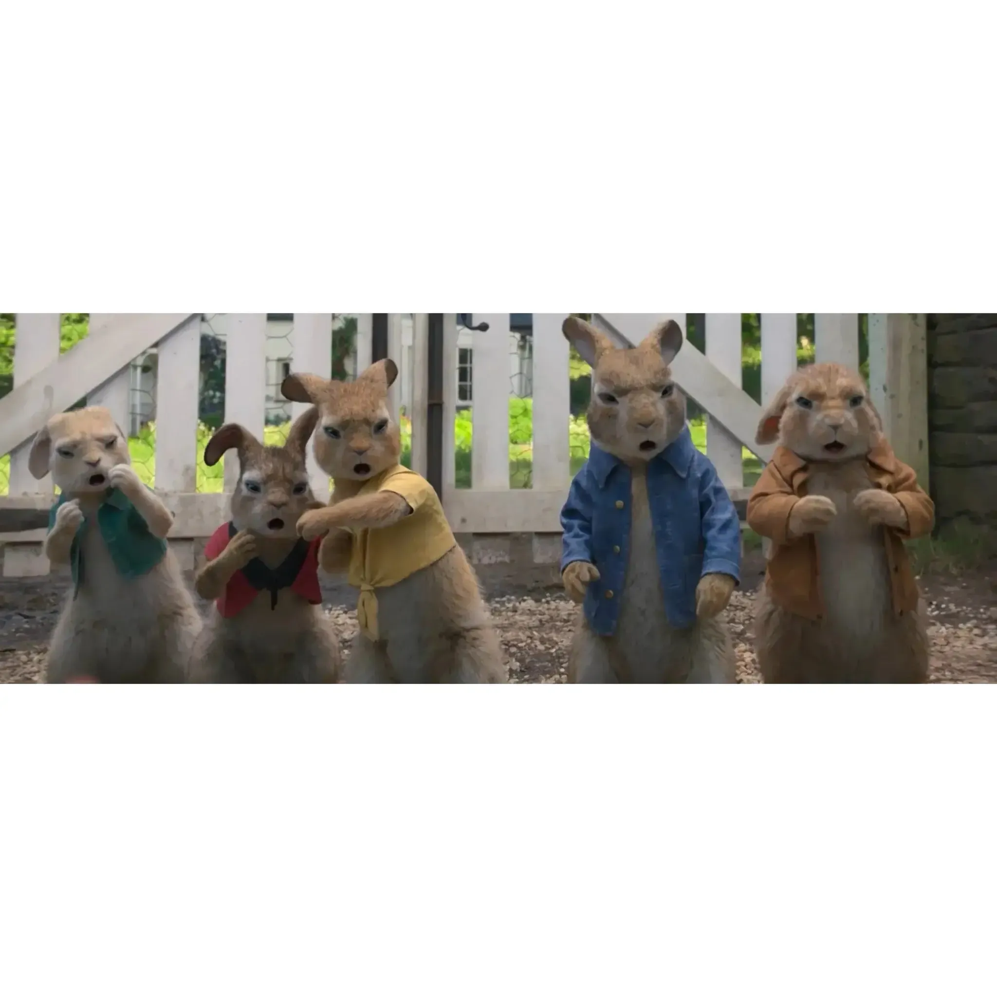 Peter Rabbit | Family Animated Movie | DVD - Image 3