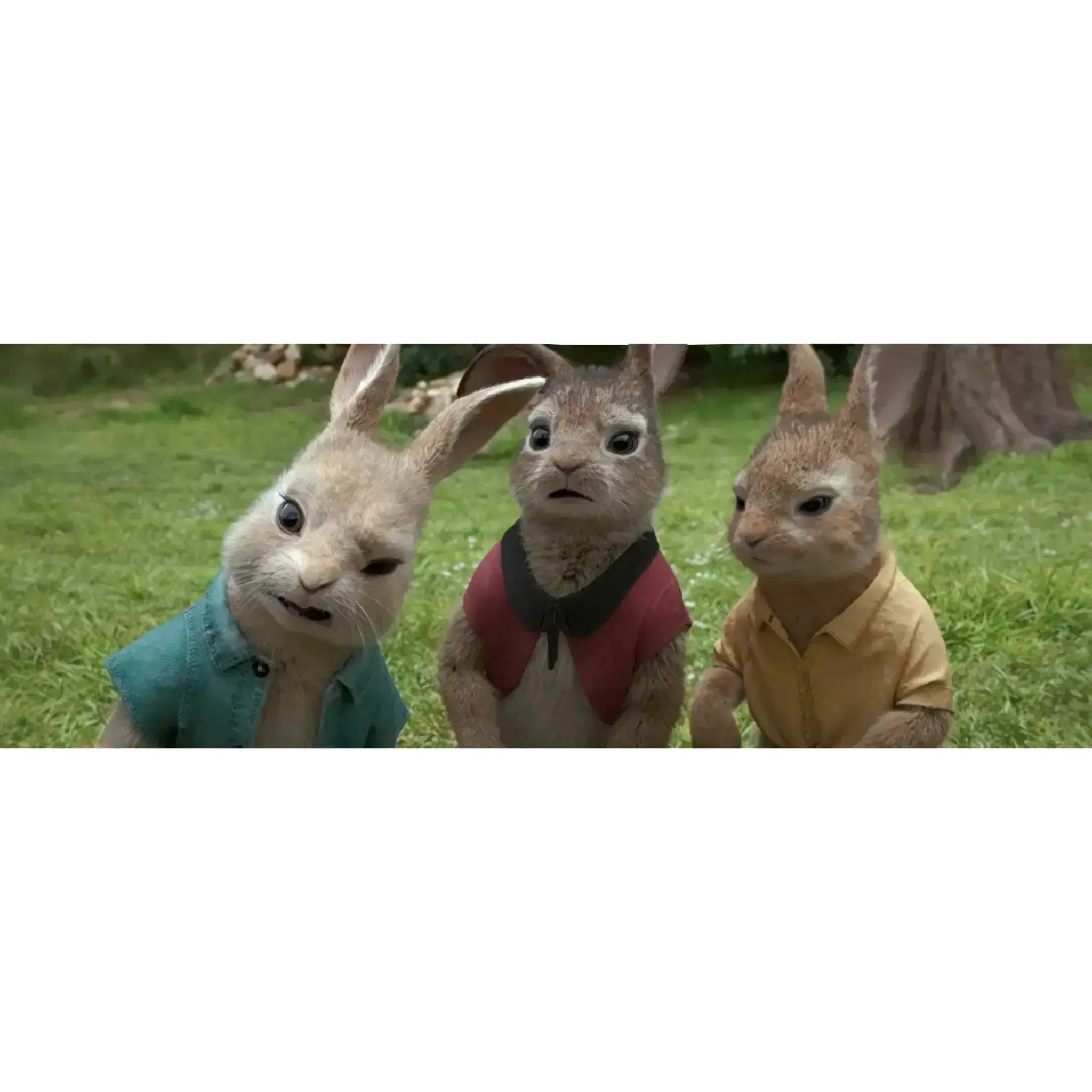 Peter Rabbit | Family Animated Movie | DVD - Image 6