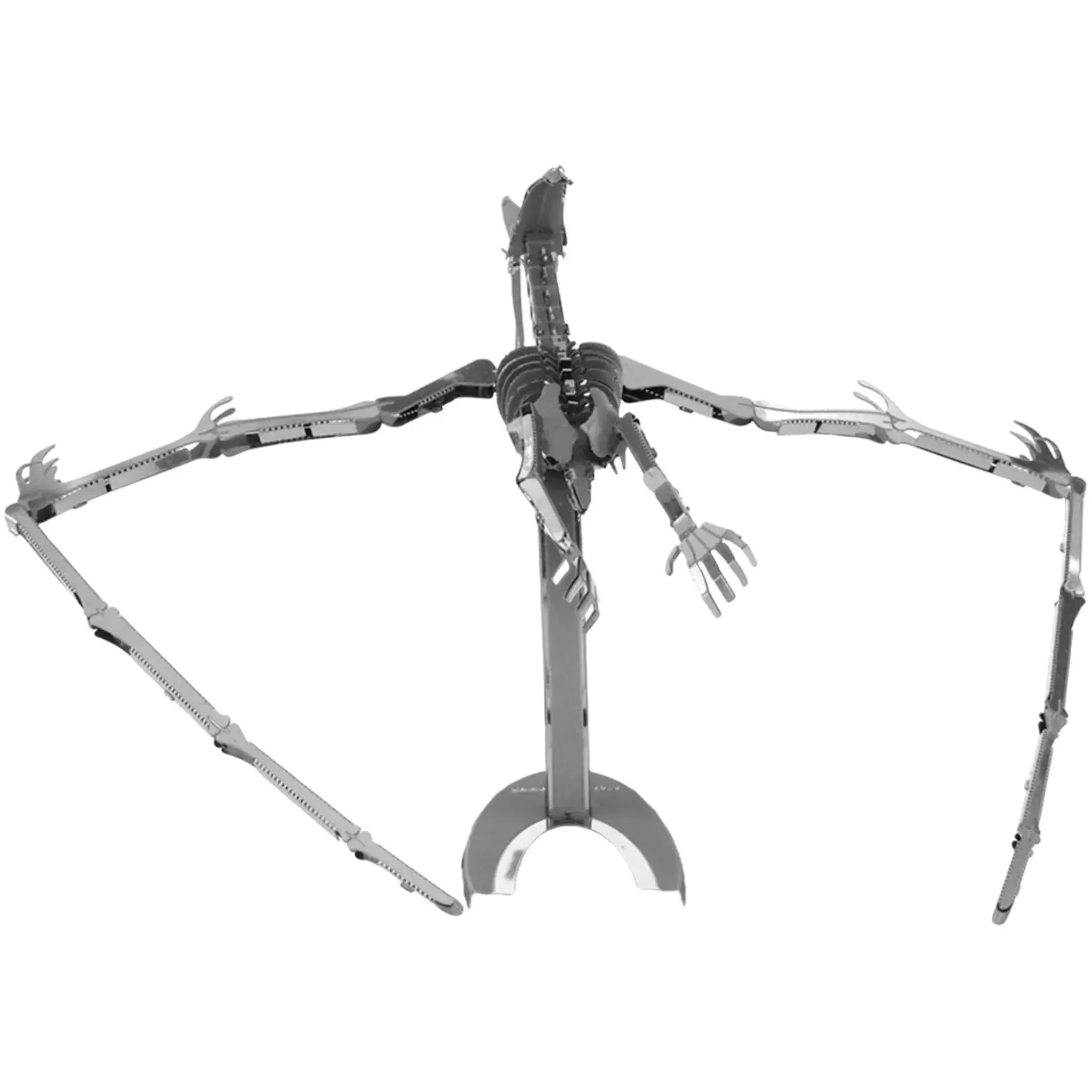 Pteranodon Prehistoric Dinosaur Skeleton Figure Model Kit (Steel, Moderate Difficulty) - Fascinations - Metal Earth Series - (2022) - Image 2