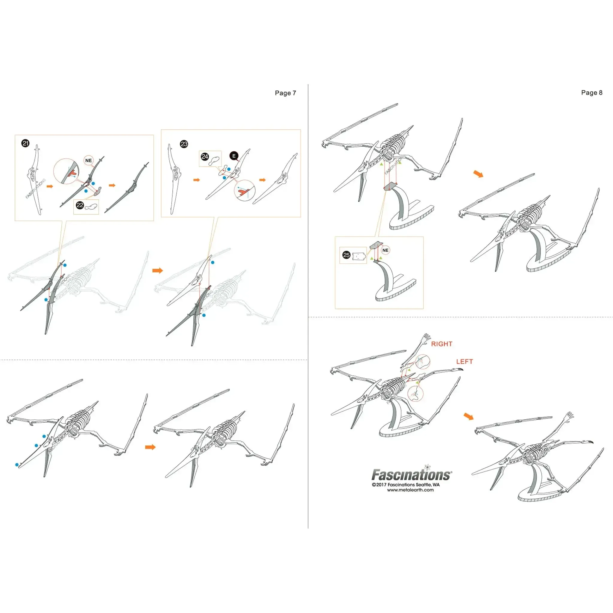 Pteranodon Prehistoric Dinosaur Skeleton Figure Model Kit (Steel, Moderate Difficulty) - Fascinations - Metal Earth Series - (2022) - Image 8