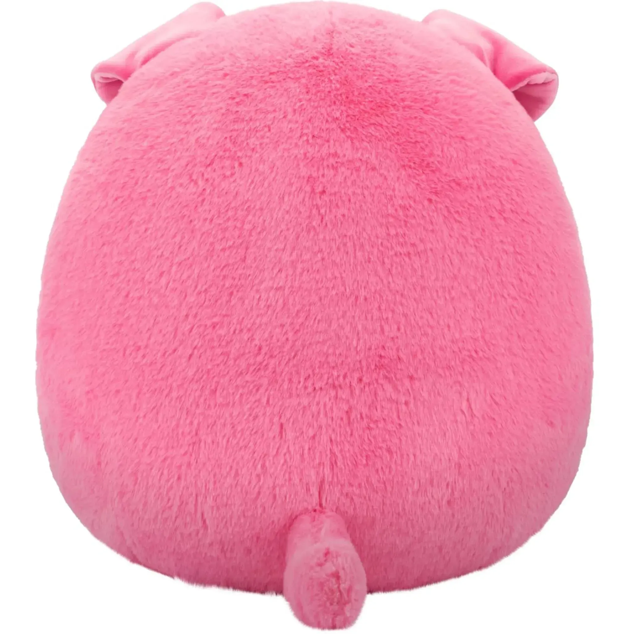 Squishmallows - Geraldine the Pink Scottish Fold Cat Plush (5") - Jazwares - (2022) - Image 2