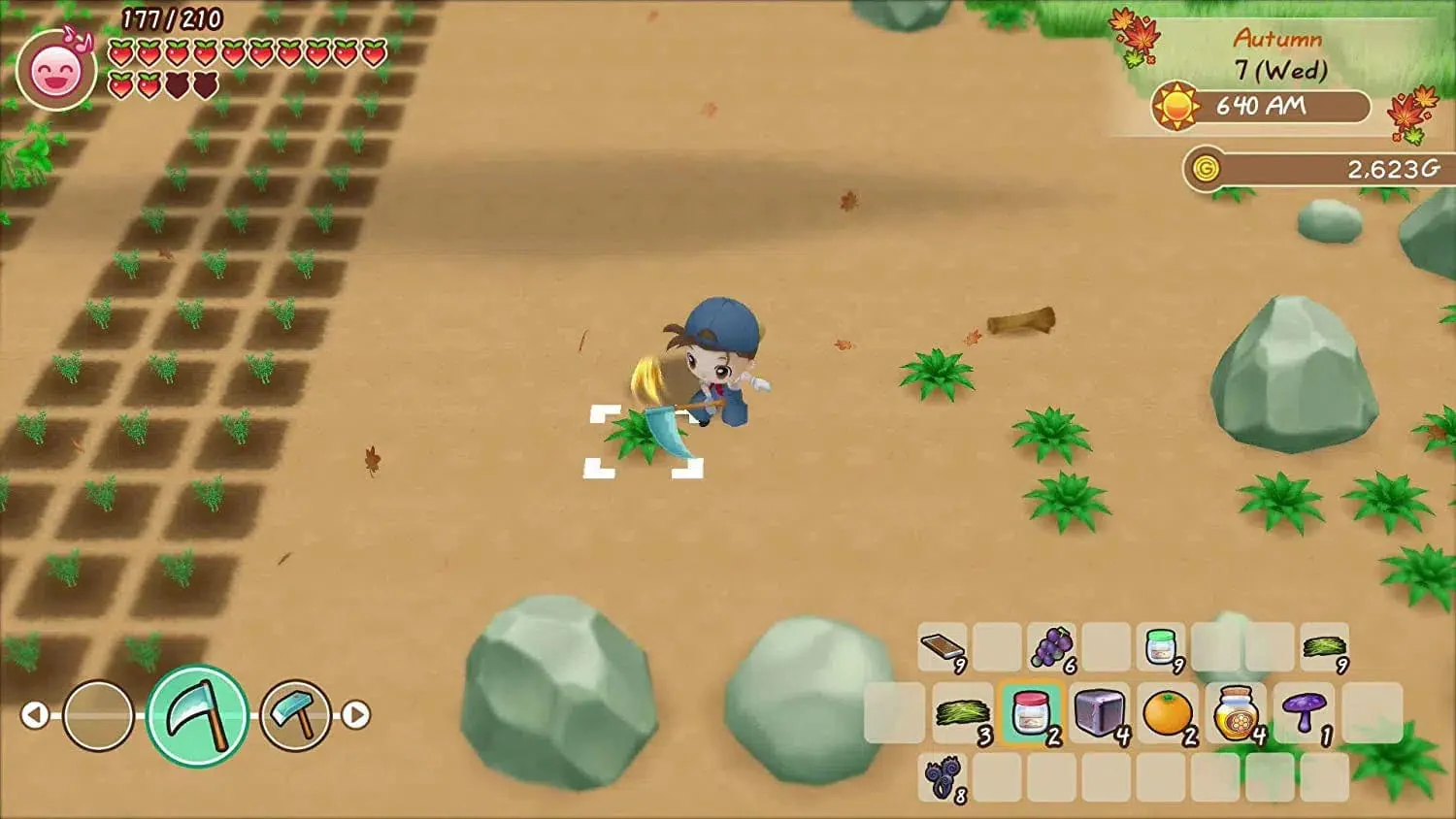 Story of Seasons: Friends of Mineral Town - Nintendo Switch - Image 6