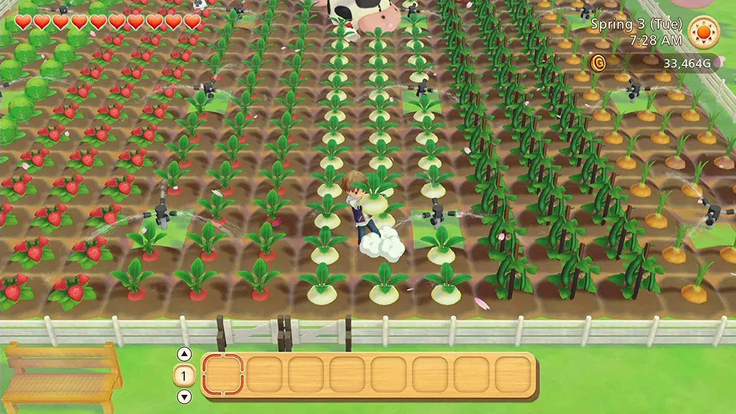 Story of Seasons: Pioneers of Olive Town (Premium Edition) - Nintendo Switch - Image 2
